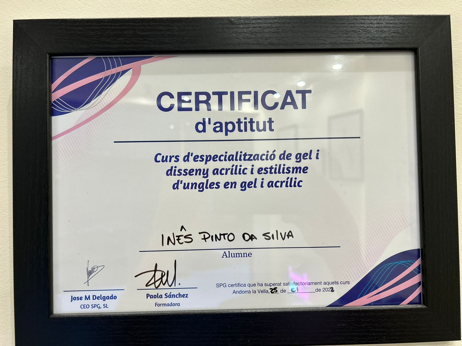 Certificat Ines Pinto