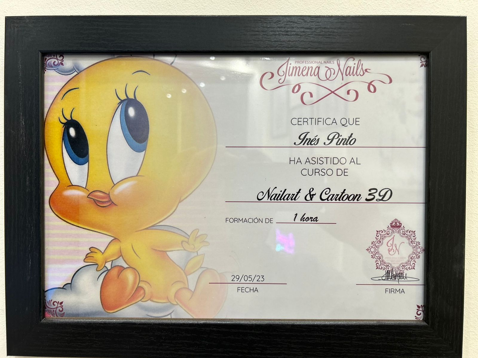 Certificat Ines Pinto